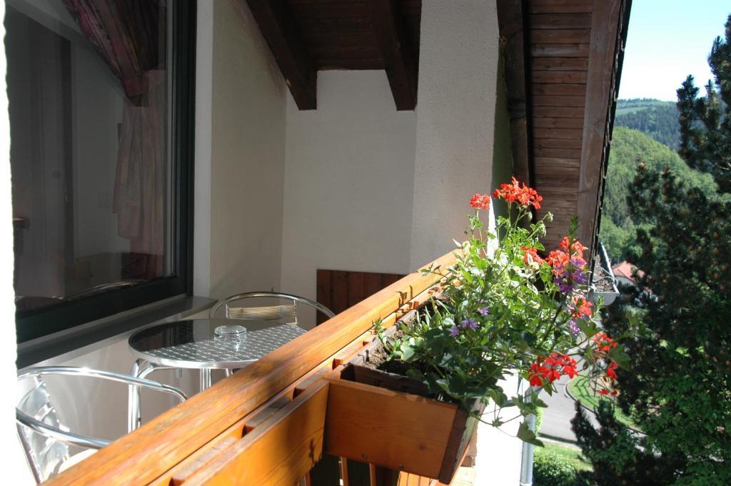 Pension Haus Diefenbach Heimbach Værelse billede
